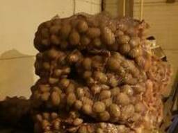 Продам Картофель