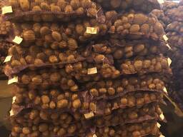 Продам картофель