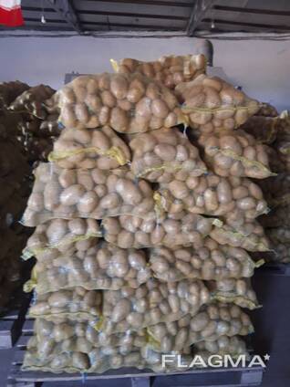 Продам картофель