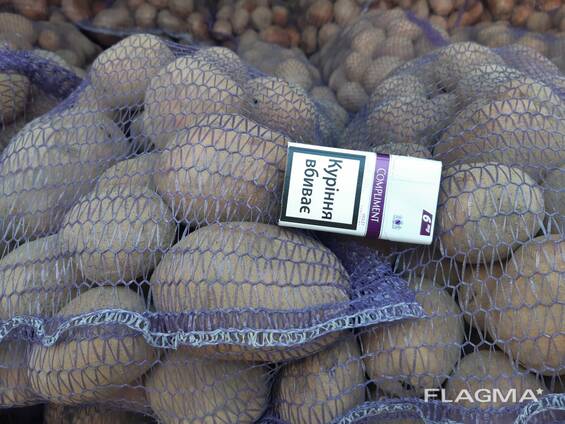 Продам картофель