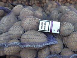 Продам картофель