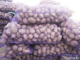Продам картофель продовольственный
