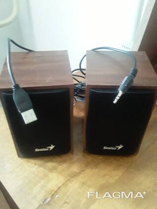 Продам компьютерные 2 звуковые колонки Genius . В отличном состоянии Ц. 5 000 тг. Т.