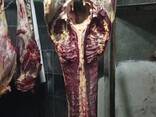 Продам конину: целиком или частями - фото 2