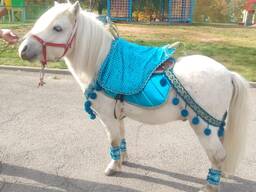 Продам коня, пони, жеребята