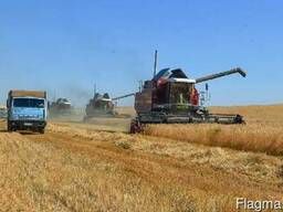 Продам крестьянское хозяйство