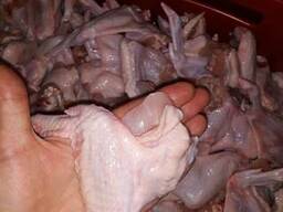Продам Крыло замороженное
