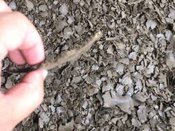 Продам льняной жмых!