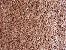 Продам сафлор