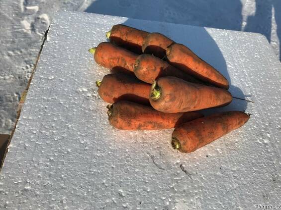 Продам морковь