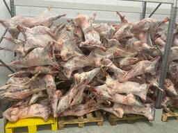 Продам мясо баранины