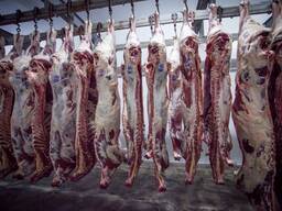 Продам мясо говядины