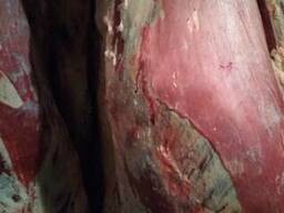 Продам мясо КРС