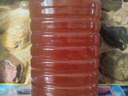 Продам мёд оптом горный Лепсенский