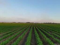 Продам орошаемые земли