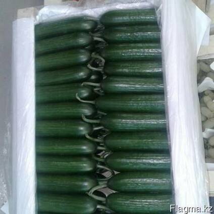Продам овощи и фрукты из Узбекистана, урожай 2017