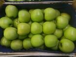 Продам польские яблоки - фото 4