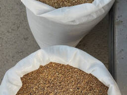 Продам Пшеница , Ячмень