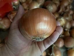 Продам репчатый лук урожая 2023года