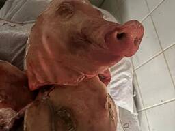 ПРОДАМ СВИНЫЕ ГОЛОВЫ (БЕЗ УШЕЙ, ЯЗЫКА), НОГИ СВИНЫЕ, ПЕЧЕНЬ