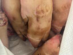 Ноги, уши, головы, печень свиная.