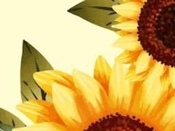 Продам ТОО с землей и регистрацией в CIFER