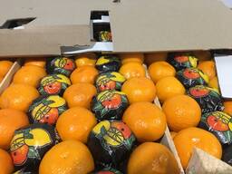 Продам Турецский мандарин