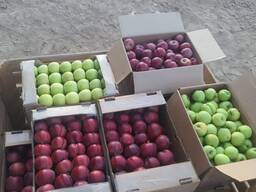 Продам яблоки оптом/ розница