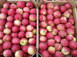 Продам яблоко сорта Айдаред - фото 2
