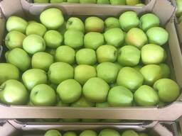 Продам яблоко сорта Мутсу