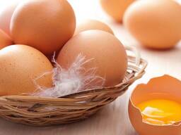 Продам яйцо куриное оптом