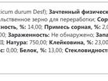 ПРОДАЁТСЯ ПШЕНИЦА 4 КЛАСС (ТВЕРДАЯ ЯРОВАЯ) - фото 1