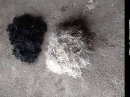 Продаю шерсть ангорской козы