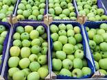 Продаются свежие польские яблоки различных сортов( Jonagold, Idared, Idared и т. д. ) - фото 3