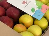 Продаются яблоки оптом! (Американка и золотое превосходное) - photo 2