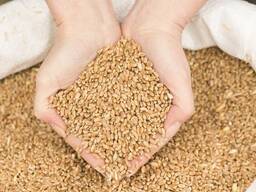 Продажа Авто и Спец Техники из Европы.