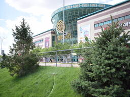 Продажа декоративно-плодовых, хвойных деревьев