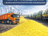 Продажа Гранулированной серы - фото 1