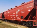 Продажа грузовых ж/д вагонов любого типа | Кез келген типтегі жүк теміржол вагондарын сату - фото 2