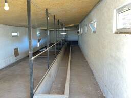 Продажа хозяйства (фазенды)