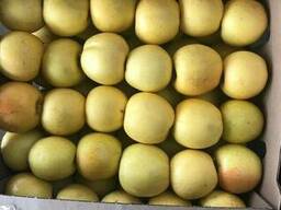 Продажа отборных яблок