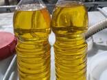 Продажа подсолнечного жмыха, льняной жмых, рапсовый жмых, подсолнечного масла - фото 1