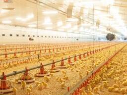 Продажа птицефабрики в Казахстане действующий бизнес
