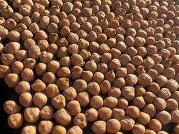 Продажи нута