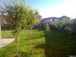 Проектирование и монтаж автоматического полива, ремонт