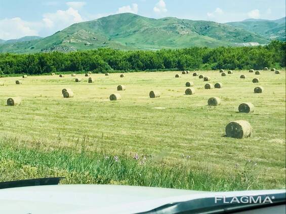 Производство органических экопродуктов в ВКО