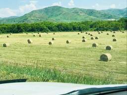 Участок 6 и 2,5 га Катон-Карагай