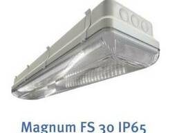 Промышленные светильники Magnum FS 30 IP65