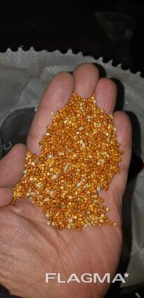 Просо красное