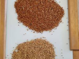 Просо на Export